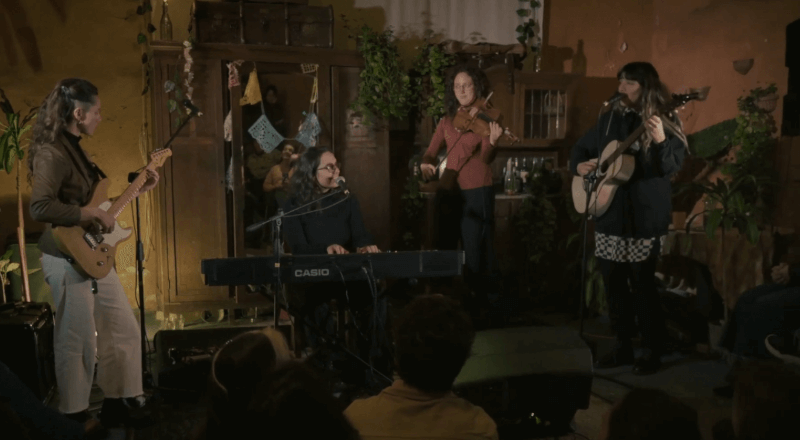 Ninguna Higuera y Papina de Palma